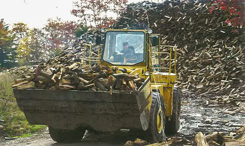 About Firewood